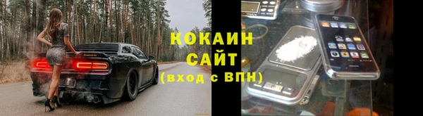 ПСИЛОЦИБИНОВЫЕ ГРИБЫ Навашино