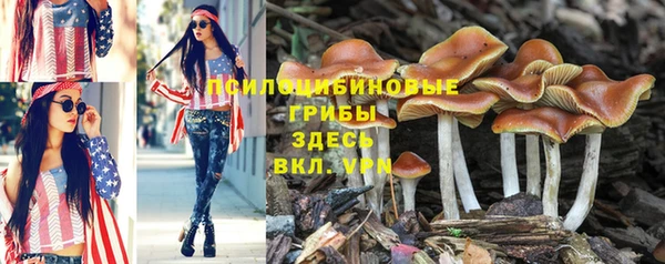 а пвп мука Богородицк