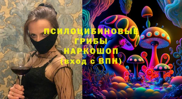 шишки Богданович