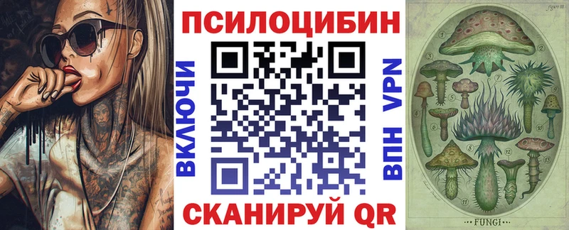 Псилоцибиновые грибы Psilocybe  Буйнакск 