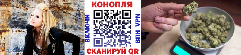дарнет шоп  OMG онион  Бошки марихуана Amnesia  Буйнакск 